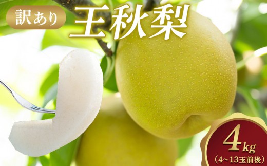 
                  【訳あり】王秋梨 4kg（4～13玉前後）※2025年10月下旬～12月上旬頃に順次発送予定【先行予約 梨 なし 果物 フルーツ くだもの 鳥取県 北栄町 おすすめ 人気 送料無料】
                