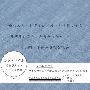 カーペット 日本製 抗菌防臭 犬 猫 ペット対応 ビオラ 176×261cm 江戸間 3畳用 ブルー【1518728】