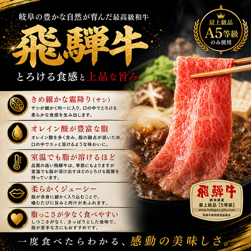 飛騨牛スジ肉1kg