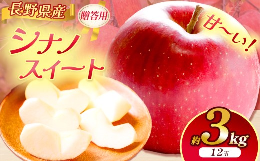 りんご 信州 上伊那産 贈答用 シナノスイート 約3kg （12玉） | 果物 フルーツ りんご 林檎 シナノスイート 上伊那産 長野県 伊那市【011-a9】