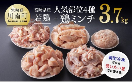宮崎県産 若鶏 便利な4種と鶏ミンチセット 肉 鶏 鶏肉 [D07809]