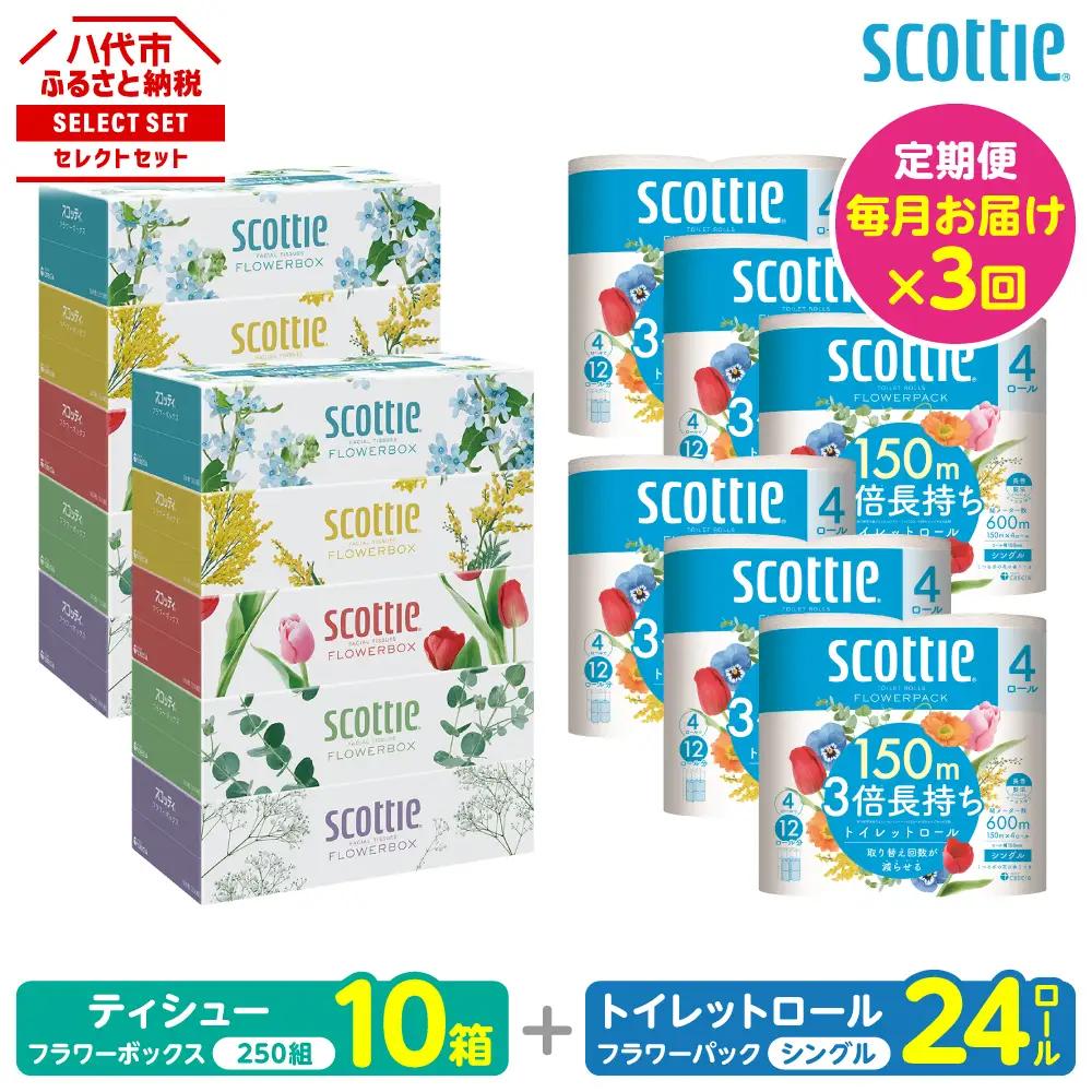 【定期便3回】【毎月お届け】【スコッティ】 組み合わせ ティシュー フラワーボックス 250組 10箱 計30箱 トイレットロール シングル フラワーパック 3倍長持ち 24ロール 計72ロール ティッシュ トイレットペーパー 日用品 防災備蓄 ストック 備蓄 新生活 防災 消耗品 生活用品 日用消耗品 箱ティッシュ