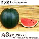 【ふるさと納税】茨城県産黒小玉すいか約3kg（2個）先行予約【2025年7月上旬～7月下旬ごろ発送予定】小玉すいか スイカ フルーツ 果物 くだもの 西瓜