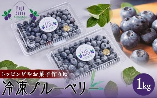 
            Fuji Berry 急速冷凍ブルーベリー1kg
          