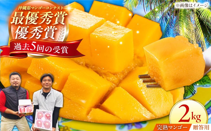 【贈答用】仲村農園の完熟アップルマンゴー2kg マンゴー 沖縄 果物 フルーツ ギフト 沖縄市 / 仲村農園