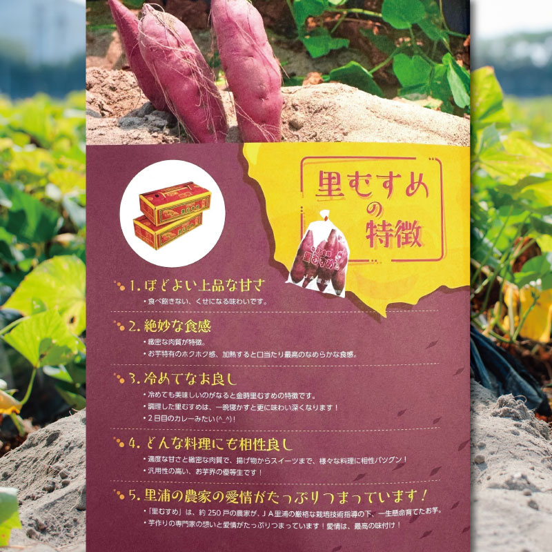 さつまいも 鳴門金時 5kg 2026年1月発送 なると金時 Lサイズ 里むすめ 芋 野菜 スイーツ スイート チップス 棒 箱 詰め 紅 甘い お菓子 金時 大学 種類 生 調理 干し芋 焼き芋 ホ