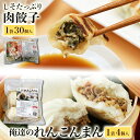 【ふるさと納税】【数量限定】 しそたっぷり肉餃子・俺達のれんこんまん 各1袋 しそたっぷり肉餃子30個 俺達のれんこんまん4個 ぎょうざ ギョウザ 餃子 肉まん 豚まん 中華まん しそ シソ れんこん レンコン 蓮根 ローズポーク 豚肉 小美玉産 茨城県産 名産 冷凍 17-AR