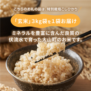 MR-12  減農薬・減化学肥料　特別栽培米こしひかり　3kg（玄米）