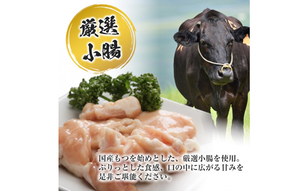 国産もつ入りミックスもつ鍋（味噌）3人前セット