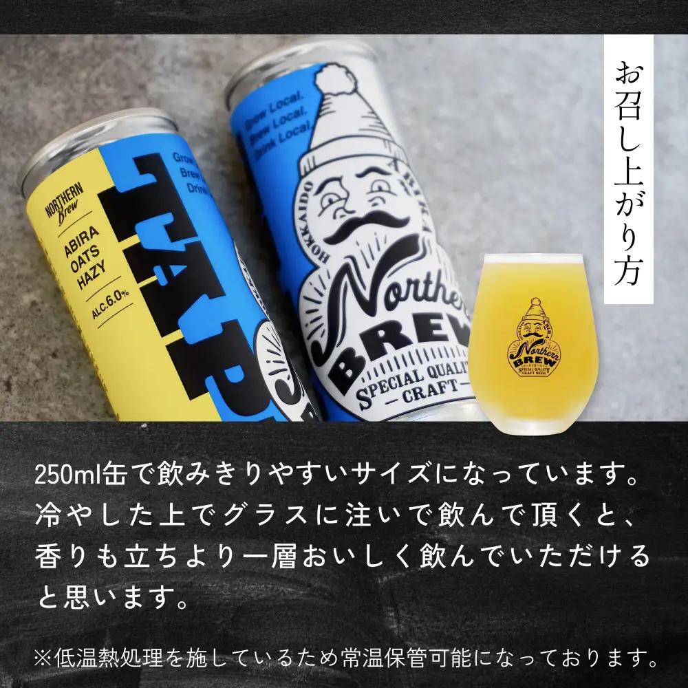 クラフトビール NORTHERN BREW ＜ TAP1(ABIRA OATS HAZY) ＞ 3本 250ml 北海道 安平町 ビール 地ビール 缶ビール 人気 定番 ギフト