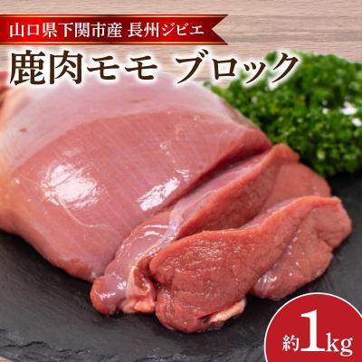 ふるさと納税 下関市 訳あり 不揃い 鹿肉 もも ブロック 約 1kg 冷凍 BM108