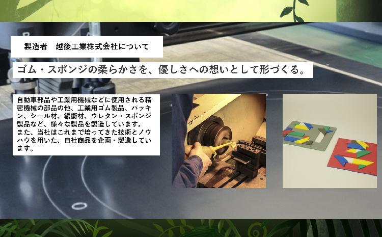 【親子で一緒に】ダイナソーフィギア　プテラノドンbig（越後工業）
