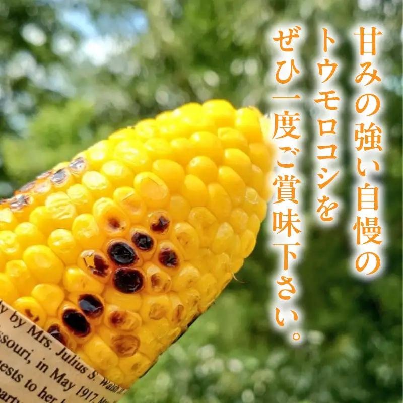とうもろこし『ドルチェドリーム』（6本入／1箱）2セット・H124