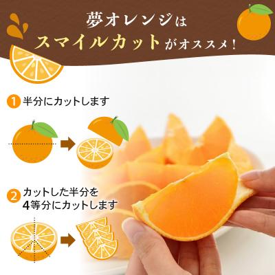 ふるさと納税 愛南町 【訳あり】みかん職人の夢オレンジ 3kg オレンジ みかん 柑橘 愛南町 みかん職人武田屋 |  | 02