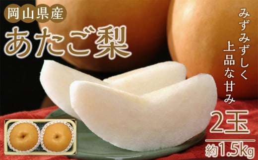 梨 2026年 岡山県産 あたご梨 約1.5kg 2玉 お届け 11月下旬～12月中旬【梨 なし 果物 フルーツ 新鮮 岡山県 岡山市 おすすめ 人気】