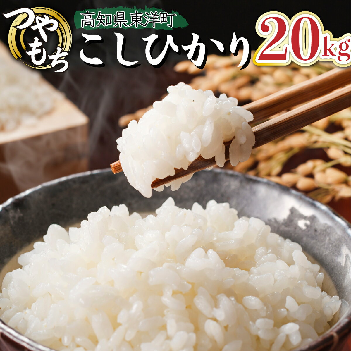 【ふるさと納税】令和7年産コシヒカリ 20kg【S248】東洋町産 国産 米 白米 精米 コメ こめ もっちり 四国 お取り寄せ 家庭用 自宅用 贈り物 ギフト送料無料