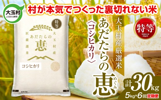 米 大玉村産厳選米「あだたらの恵」特等（品種：コシヒカリ） 計30kg 《 令和7年産  》 定期便 ( 全6回 × 5kg ) ｜ 福島 大玉村 お米 米作り こしひかり 令和7年 精米 白米 こめ コメ ご飯 送料無料 大玉村農業振興公社 ｜ on-akt-5kg-t6-r7
