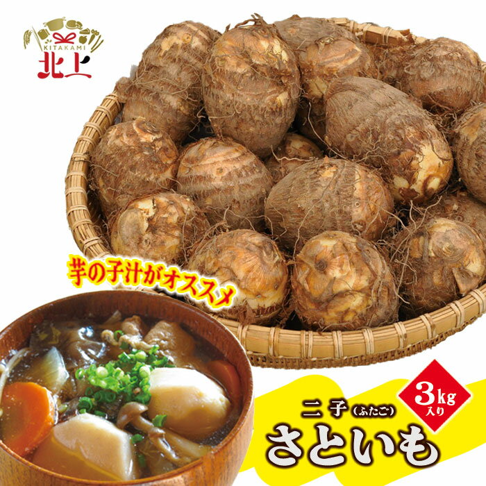 【ふるさと納税】さといも 3kg 5kg 10kg《予約受付/10月上旬〜発送予定》北上市二子産 旬 特産品 野菜 採れたて 秋の味覚 徳用 大容量 贈答 おすそ分け 炊き込みご飯 芋の子汁 シェア 展勝地 桜の名所 展勝地レストハウス