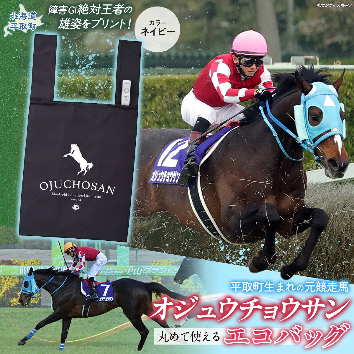 【ふるさと納税】【オジュウチョウサン】丸めて使えるエコバッグ【 ふるさと納税 人気 おすすめ ランキング 馬 競馬 競走馬 引退馬 オジュウチョウサン 北海道 平取町 送料無料】 BRTV012
