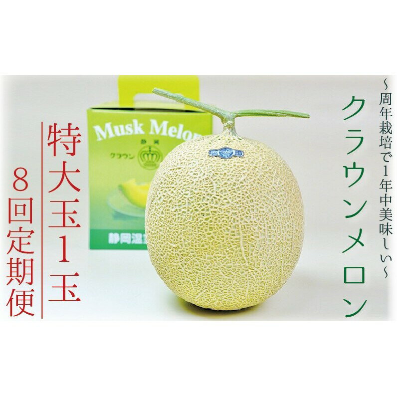 【ふるさと納税】【8ヶ月定期便】クラウンメロン（白等級）特大玉　1玉入 　果物 フルーツ デザート メロン マスクメロン 青肉 高級 ギフト 贈り物 静岡県産 袋井市