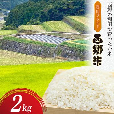 ふるさと納税 長崎県 雲仙ブランド認定商品　「西郷米」白米　2kg