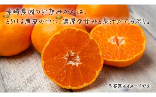 大崎上島町の岩﨑農園