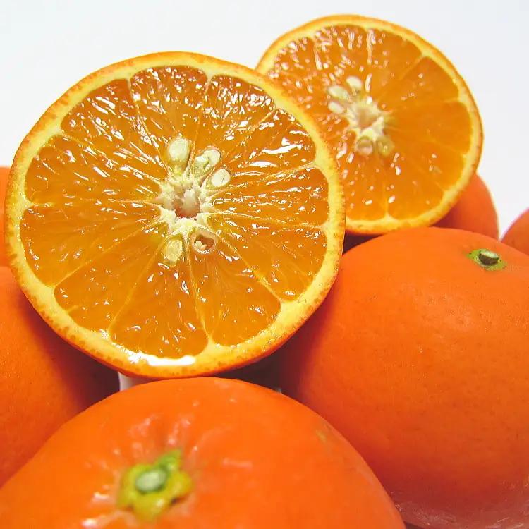有田育ちの爽快セミノールオレンジ(ご家庭用)　約1kg+200g(補償分)【2027年4月上旬～5月下旬頃に順次発送予定】【ard210A】