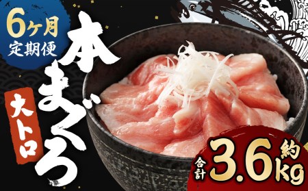 【定期便6回】長崎県産 本マグロ（養殖）大トロ 皮付き 約600g 生食用