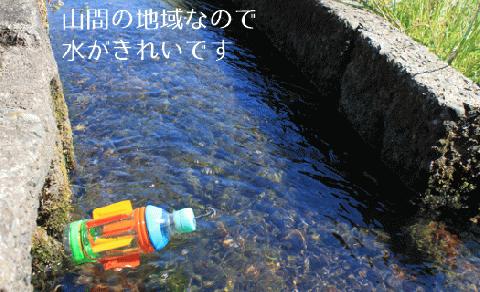 【先行予約】レンゲ栽培米 夢つくし 4.5kg 【2025年10月以降順次発送】《築上町》【久楽農園】 [ABAT001] 精米 お米 こめ コメ ご飯