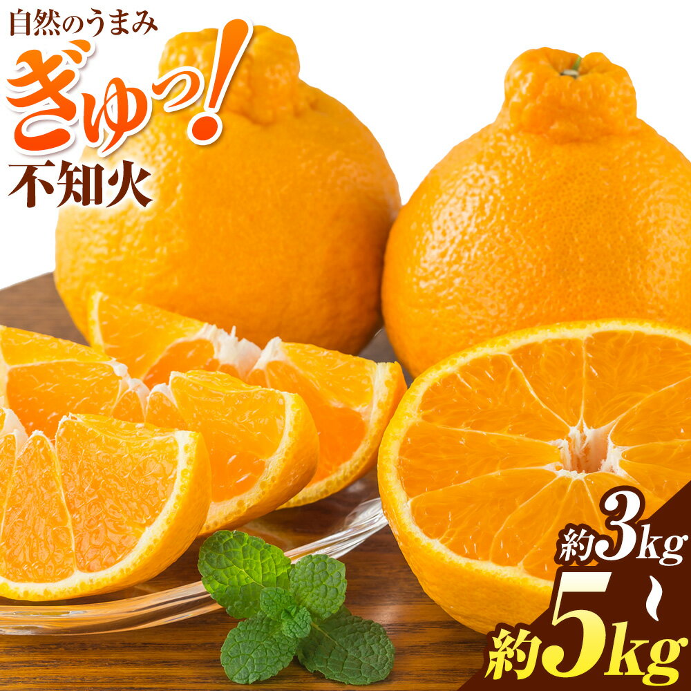 【ふるさと納税】先行予約 みかん 不知火 3kg 5kg 高橋商店《2026年1月下旬-5月中旬頃出荷》熊本県 苓北町 柑橘 かんきつ 果物 フルーツ しらぬい 送料無料