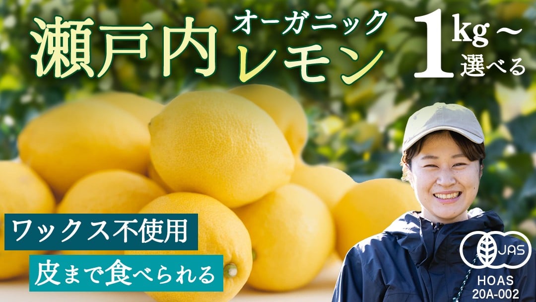 
                  オーガニック 瀬戸内レモン 選べるサイズ 1kg/2kg/5kg/10kg/20kg/100kg 【2027年 1月 〜 5月 出荷】 先行予約 レモン 檸檬 柑橘 広島県産 化学肥料 除草剤 防腐剤 ワックス 不使用 有機 有機JAS 有機栽培 国産 果物 くだもの フルーツ 瀬戸内 大崎上島 免疫力向上 健康 ビタミンC クエン酸 抗酸化 ソーダ 炭酸水
                