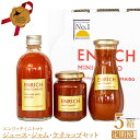 【ふるさと納税】 『定期便：全5回』 トマトジュース 300ml ジャム 200g ケチャップ 1本 エンリッチミニトマト お取り寄せ トマト エンリッチ 野菜 ジュース 健康 栄養 GABA リコピン 定期便 5ヶ月 5回 ふるさと納税 北海道 長万部町 長万部 【070005】