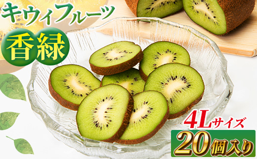 希少キウイフルーツ 「香緑」。4Lサイズ 20個入り 糖度16度。甘くておいしい＜出荷時期：2025年12月15日出荷開始～2026年1月15日出荷終了＞【キウイ　ルーツ 神奈川県 南足柄市 】