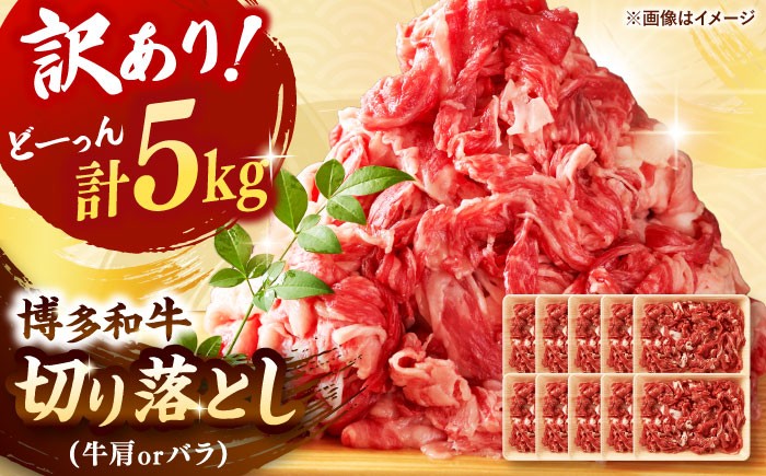 
            【年内発送】【 訳あり 】 博多和牛 切り落とし 5kg(500g×10p） ▼牛肩 バラ 国産 切り落し  切り落とし肉 牛 牛丼 黒毛和牛 牛肉  肉炒め  小分け 桂川町/株式会社 MEAT PLUS[ADAQ029]
          