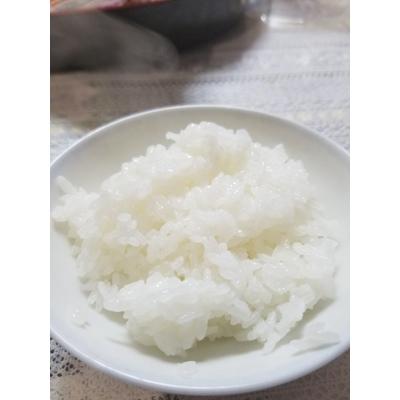 ふるさと納税 由布市 大分県産ひのひかり【ゆふ清流米】　玄米　10kg |  | 02