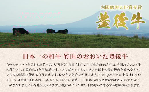 正統派黒毛和牛 おおいた豊後牛 切り落とし 1000g 小分け