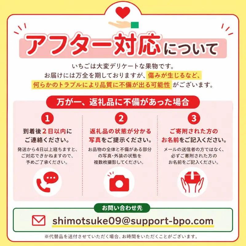 苺 いちご サイズおまかせ とちあいか 約1500g【栃木県共通返礼品 真岡市産】TT 栃木県 下野市