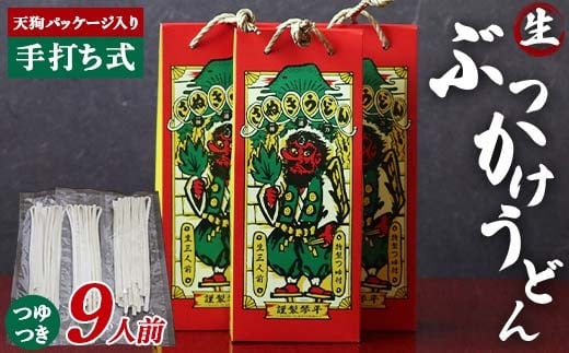 天狗パッケージ入り 【ぶっかけうどん9人前】 うどん 麺 麺類 加工品 食品 F5J-969