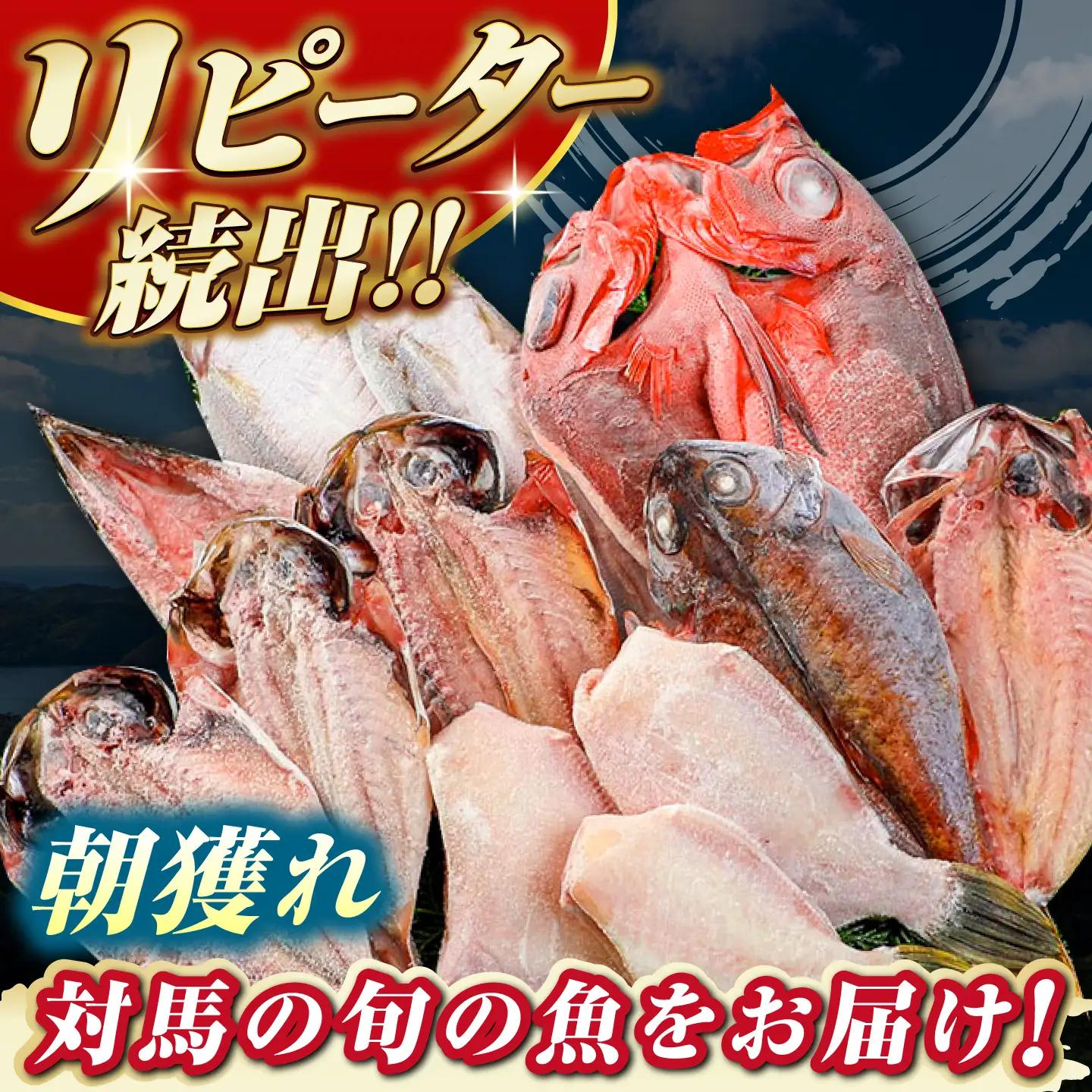 対馬産 旬の地魚 干物 5種 セット 直送 旬 ひもの 朝食 イカ サバ  [WAH024]