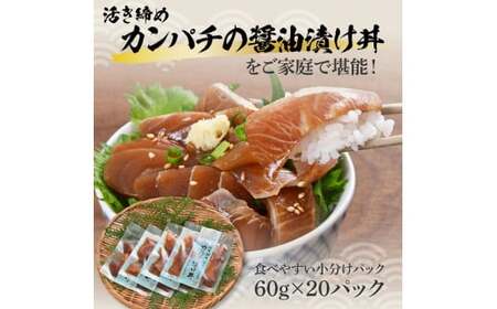 【訳あり】活き締めカンパチの醤油漬け丼 20袋セット 高知県土佐市 【企業組合　宇佐もん工房】 [BQAB035]