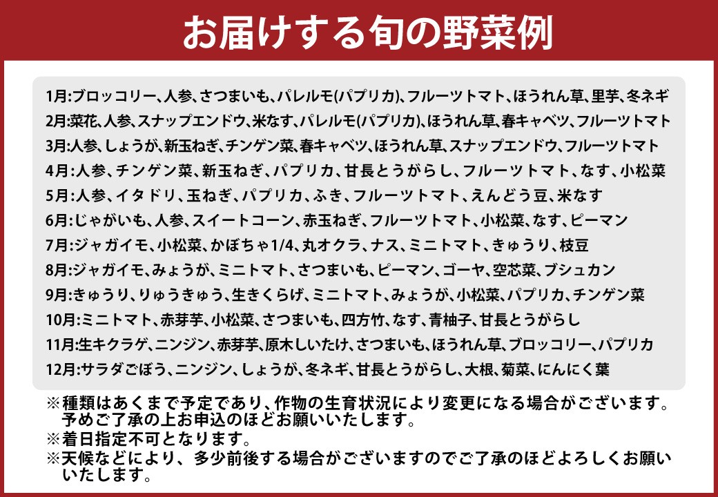 高知の野菜（8品目）＋ゆずポン酢セット