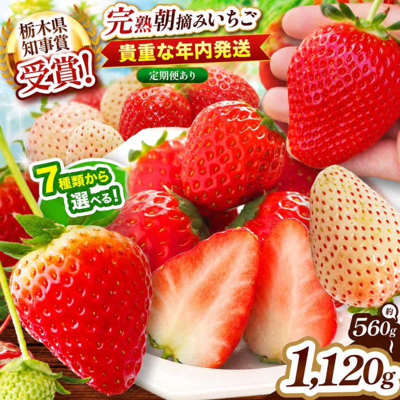 【ふるさと納税】年内発送 いちご 苺 人気 高評価 選べるとちあいか スカイベリー とちおとめ 女峰【2026年 12月 発送】フルーツ 果物 年末年始 ご褒美 プレゼント｜栃木県 矢板市