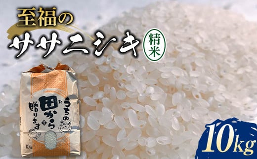 
【先行予約】 令和6年産 至福のササニシキ（精米） 10kg 米 お米 おこめ 山形県 新庄市 F3S-2203
