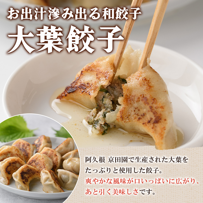 手づくり和餃子セット(ニラ餃子12個入×4袋+大葉餃子12個入×4袋・合計96個) 餃子 生餃子 ギョウザ ぎょうざ ギョーザ セット 詰め合わせ おかず お惣菜 冷凍 和風 水餃子 にら ニラ 大葉