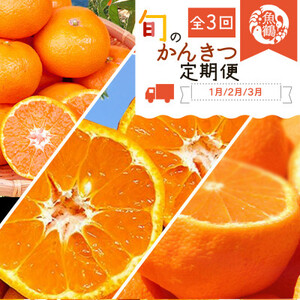 【発送月固定定期便】紀州和歌山産旬のフルーツセット(みかん・不知火・せとか)全3回【4005763】