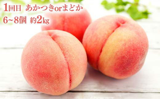 桃とシャインマスカットの定期便（小） 福島の桃 果物 先行予約 フルーツ 桃 モモ もも 葡萄 ブドウ ぶどう 福島県 伊達市 もも モモ momo  くだもの 果実 セット 詰め合わせ 詰合せ 食品