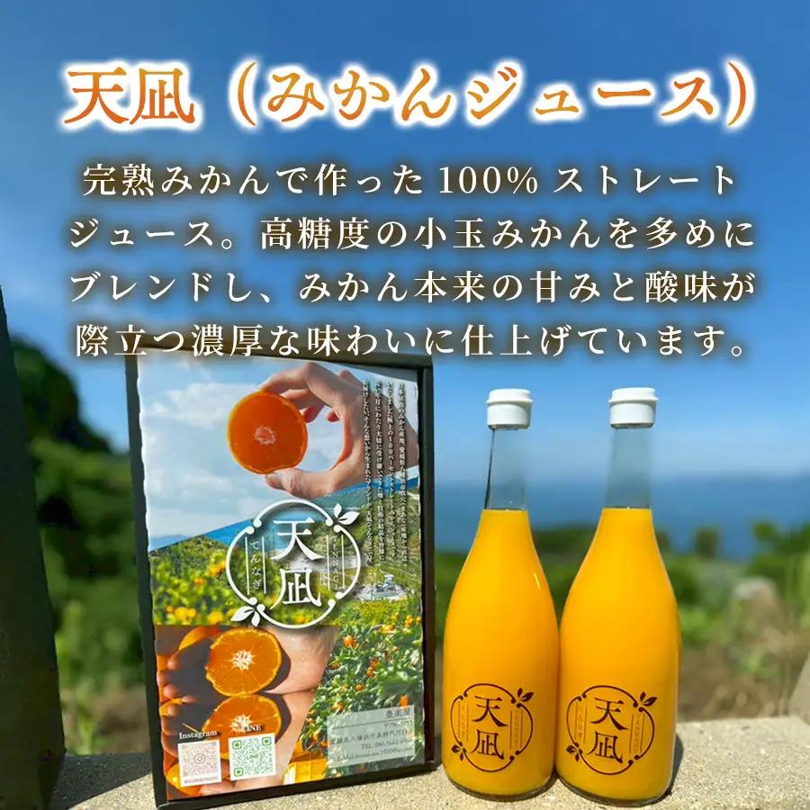 【砂糖・保存料・甘味料すべて不使用】真穴産みかんジュース「天凪」　720ml　2本【D98-3】【1711051】 YWTBU003