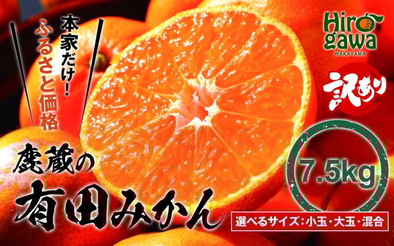 
                  【 鹿蔵の 有田 みかん 訳あり 7.5kg 】 光センサー 選果 / 温州みかん 有田みかん 甘い 家庭用 和歌山 柑橘 ※2026年11月より順次発送予定 ※北海道・沖縄・離島への配送不可【ikd004-cm-7d5-nov-PR】
                