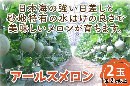 【先行予約】太陽サンサン砂丘地三里浜の アールスメロン 2玉 【2026年9月上旬以降順次発送予定】 [A-8302]