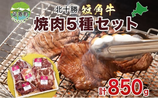 
北海道 北十勝 短角牛 焼肉 5種 タン ミックスホルモン サガリ ハツ レバー ホルモン 焼き肉 和牛 牛肉 肉 国産 ご飯 贅沢 冷凍 ギフト 北十勝ファーム 送料無料 【 足寄町 】
